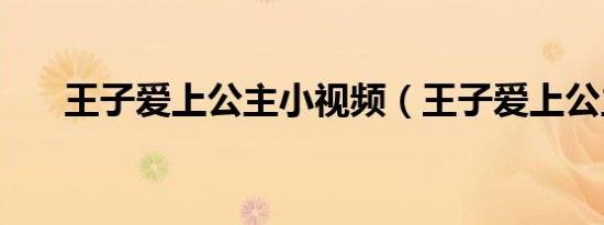 王子爱上公主小视频（王子爱上公主）