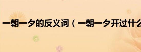 一朝一夕的反义词（一朝一夕开过什么生肖）