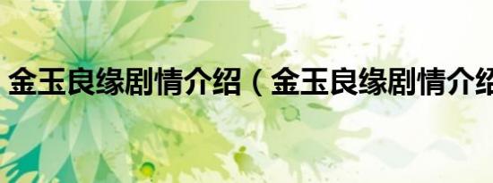 金玉良缘剧情介绍（金玉良缘剧情介绍全集）
