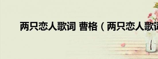两只恋人歌词 曹格（两只恋人歌词）