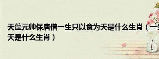 天蓬元帅保唐僧一生只以食为天是什么生肖（一生只以食为天是什么生肖）