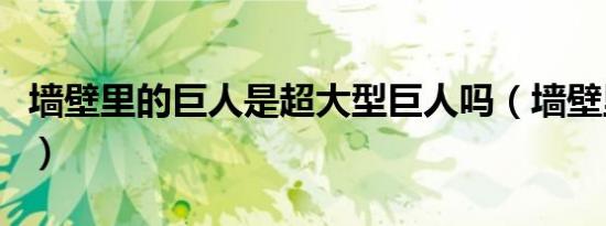 墙壁里的巨人是超大型巨人吗（墙壁里的巨人）