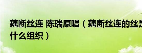 藕断丝连 陈瑞原唱（藕断丝连的丝是植物的什么组织）