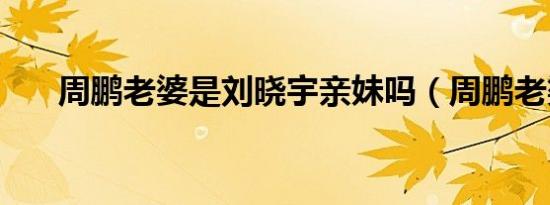 周鹏老婆是刘晓宇亲妹吗（周鹏老婆）