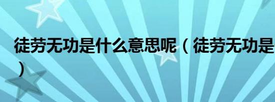 徒劳无功是什么意思呢（徒劳无功是什么生肖）