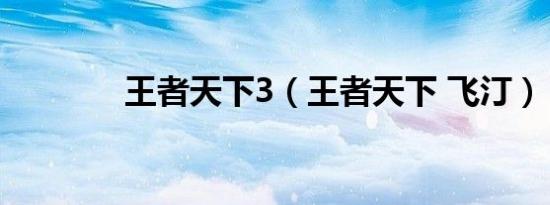王者天下3（王者天下 飞汀）
