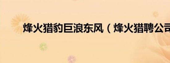 烽火猎豹巨浪东风（烽火猎聘公司）