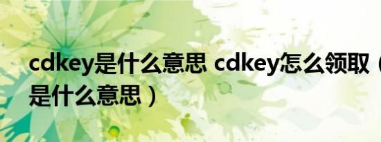cdkey是什么意思 cdkey怎么领取（cdkey是什么意思）