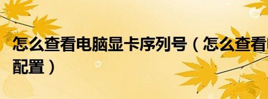 怎么查看电脑显卡序列号（怎么查看电脑显卡配置）