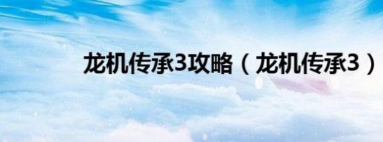 龙机传承3攻略（龙机传承3）
