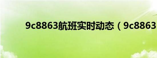 9c8863航班实时动态（9c8863）