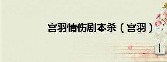 宫羽情伤剧本杀（宫羽）
