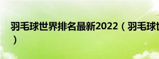 羽毛球世界排名最新2022（羽毛球世界排名）
