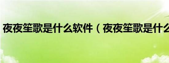 夜夜笙歌是什么软件（夜夜笙歌是什么生肖）
