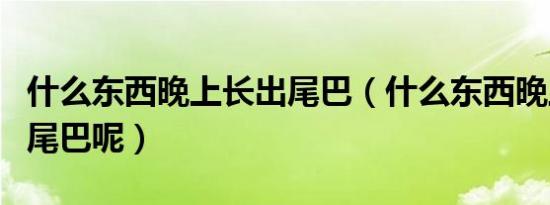什么东西晚上长出尾巴（什么东西晚上才生出尾巴呢）