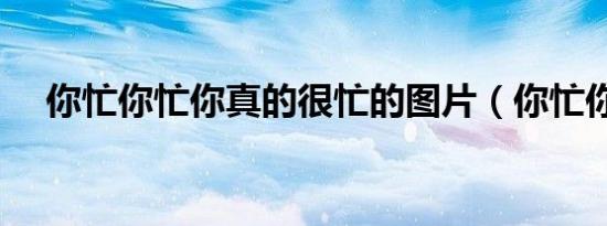你忙你忙你真的很忙的图片（你忙你忙）