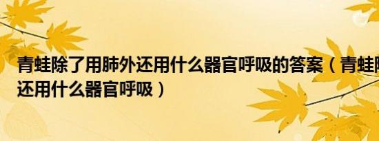 青蛙除了用肺外还用什么器官呼吸的答案（青蛙除了用肺外还用什么器官呼吸）