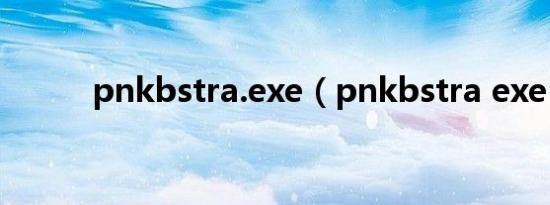 pnkbstra.exe（pnkbstra exe）