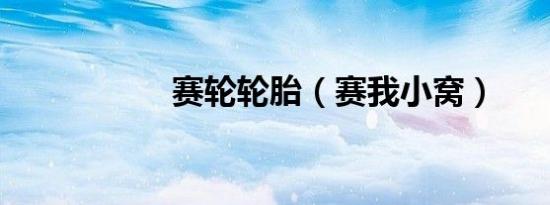 赛轮轮胎（赛我小窝）