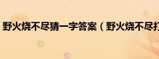 野火烧不尽猜一字答案（野火烧不尽打一字）