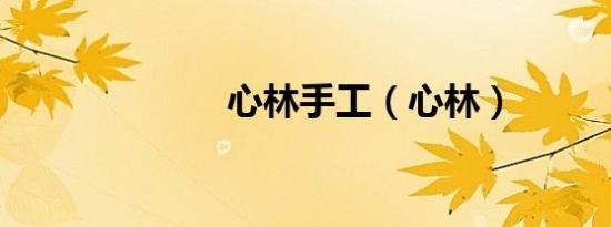心林手工（心林）