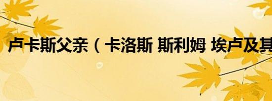 卢卡斯父亲（卡洛斯 斯利姆 埃卢及其家族）