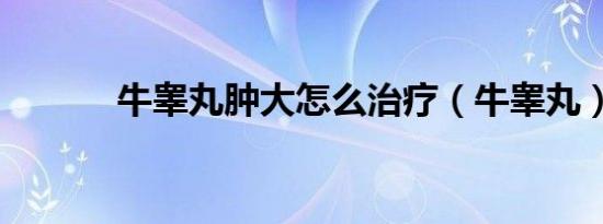 牛睾丸肿大怎么治疗（牛睾丸）