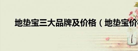 地垫宝三大品牌及价格（地垫宝价格）