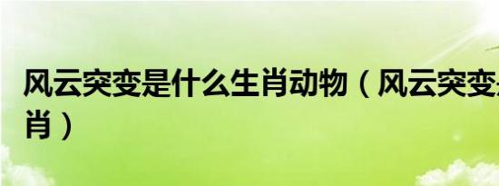 风云突变是什么生肖动物（风云突变是什么生肖）