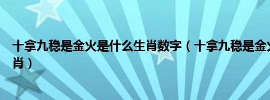 十拿九稳是金火是什么生肖数字（十拿九稳是金火是什么生肖）