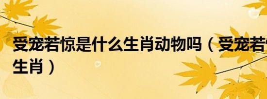 受宠若惊是什么生肖动物吗（受宠若惊是什么生肖）