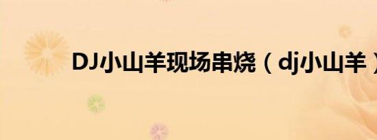 DJ小山羊现场串烧（dj小山羊）