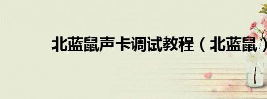 北蓝鼠声卡调试教程（北蓝鼠）