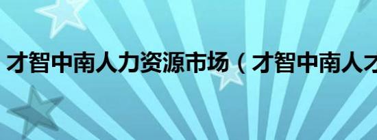 才智中南人力资源市场（才智中南人才市场）