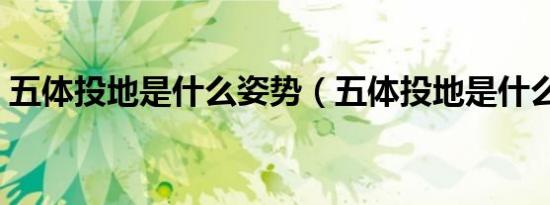 五体投地是什么姿势（五体投地是什么生肖）