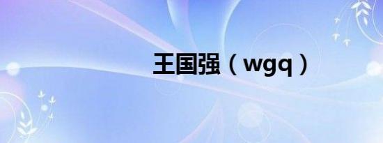 王国强（wgq）