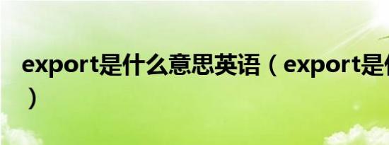 export是什么意思英语（export是什么意思）
