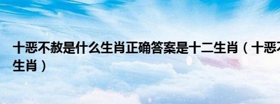 十恶不赦是什么生肖正确答案是十二生肖（十恶不赦是什么生肖）