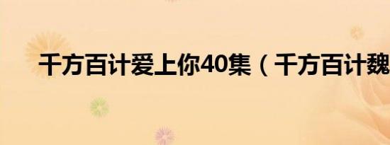 千方百计爱上你40集（千方百计魏晨）