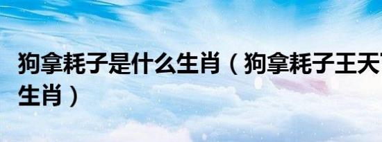 狗拿耗子是什么生肖（狗拿耗子王天下是什么生肖）