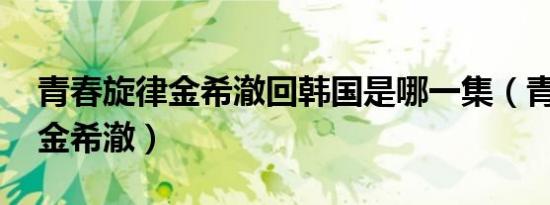 青春旋律金希澈回韩国是哪一集（青春旋律 金希澈）