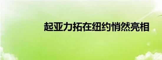 起亚力拓在纽约悄然亮相