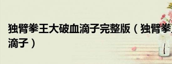 独臂拳王大破血滴子完整版（独臂拳王大破血滴子）