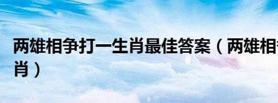 两雄相争打一生肖最佳答案（两雄相争打一生肖）