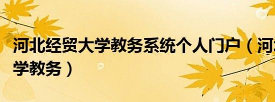 河北经贸大学教务系统个人门户（河北经贸大学教务）