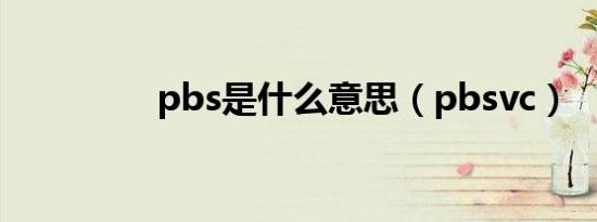 pbs是什么意思（pbsvc）