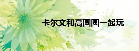 卡尔文和高圆圆一起玩