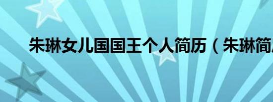 朱琳女儿国国王个人简历（朱琳简历）