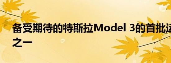 备受期待的特斯拉Model 3的首批运行版本之一