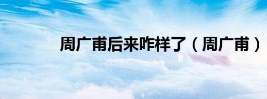 周广甫后来咋样了（周广甫）
